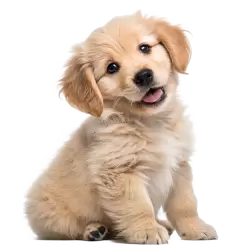 Imagen PNG para descargar